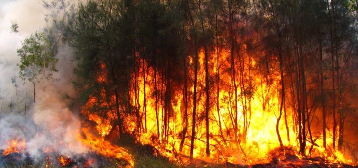 Planes Locales Prevención Incendios Forestales